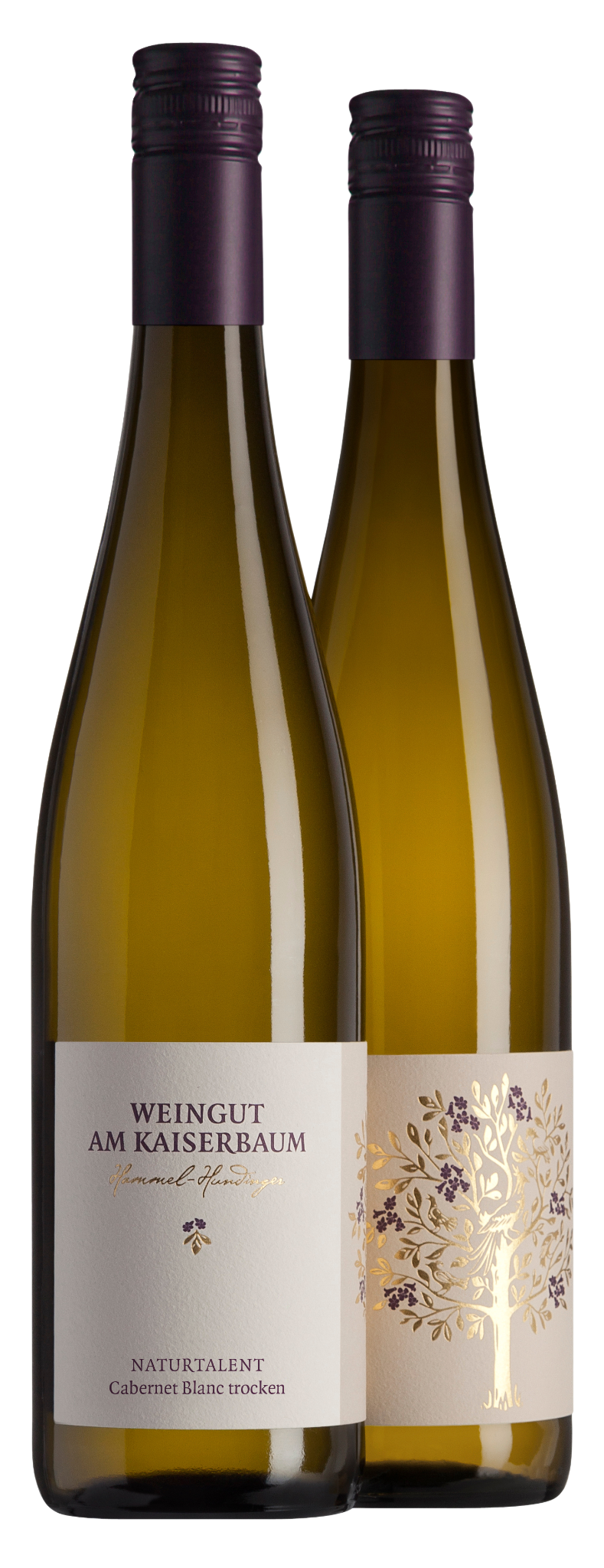 Weingut am Kaiserbaum Cabernet Blanc Naturtalent